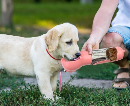 Portable Pet Water Bottle & Feeder